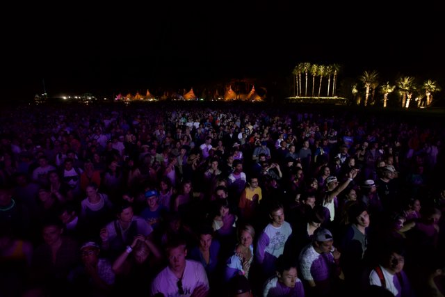Coachella 2009 Concert Crowd