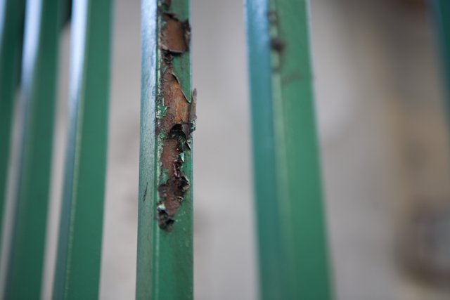 Rusty Green Fence
