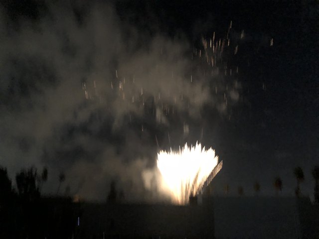 Explosive Celebration