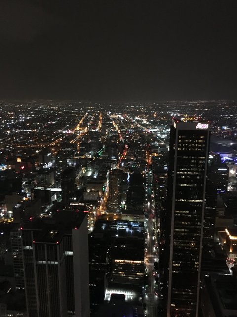 Nighttime Cityscape from Los Angeles Tower