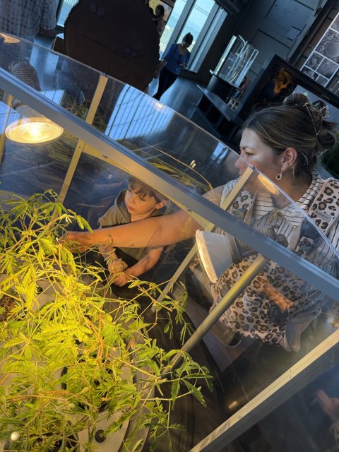Curious Minds at the Aquarium