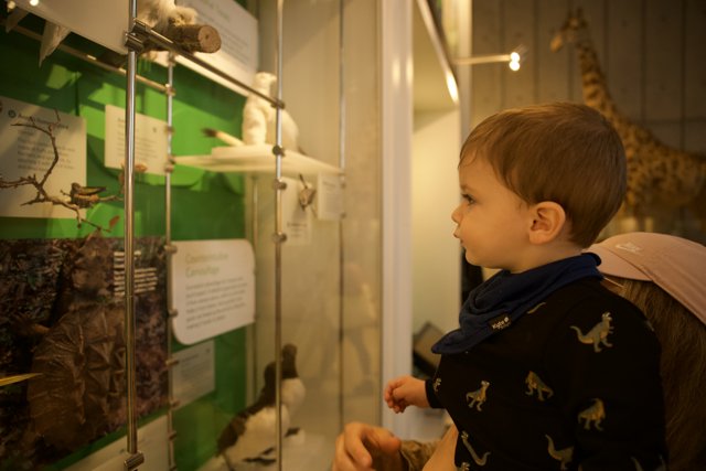 Wesley's Day at the Museum
