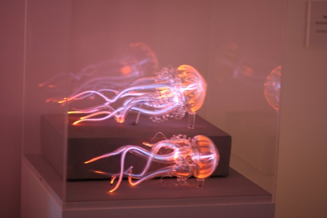 Illuminated Jellyfish Dance in Museum of Modern Art