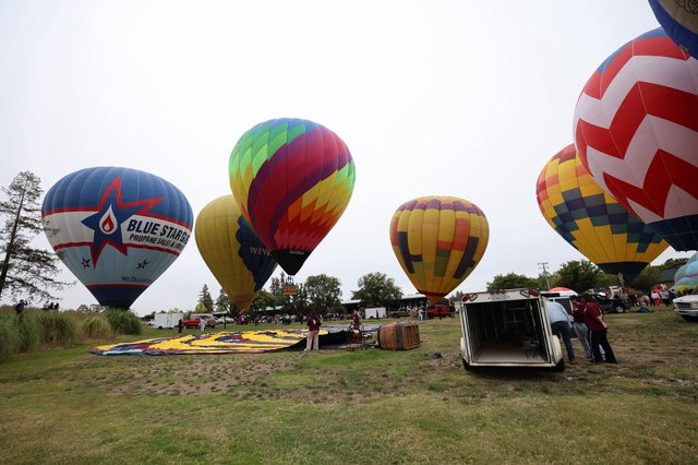 Colorful Hot Air Balloons Launch at Sonoma County Classic