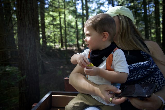 Captivated by Nature: A Child's First Train Ride