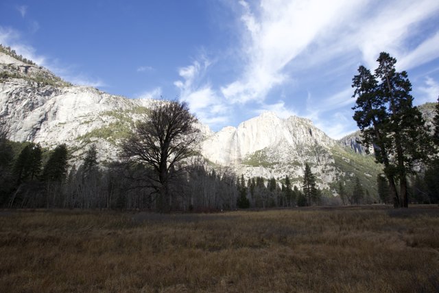 Yosemite Nature Unveiled