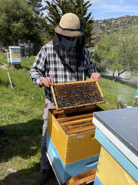 Beekeeper holding a hive