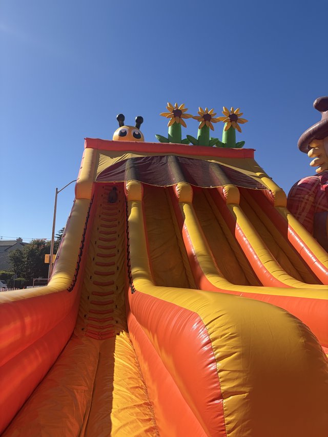 Colorful Inflatable Slide with Cheerful Garden Theme