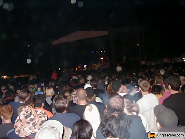 Rocking the Night Away at Coachella 2002