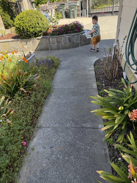 Springtime Stroll in the Sunshine