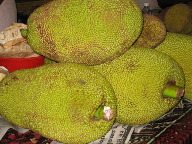 A Bountiful Harvest of Jackfruit