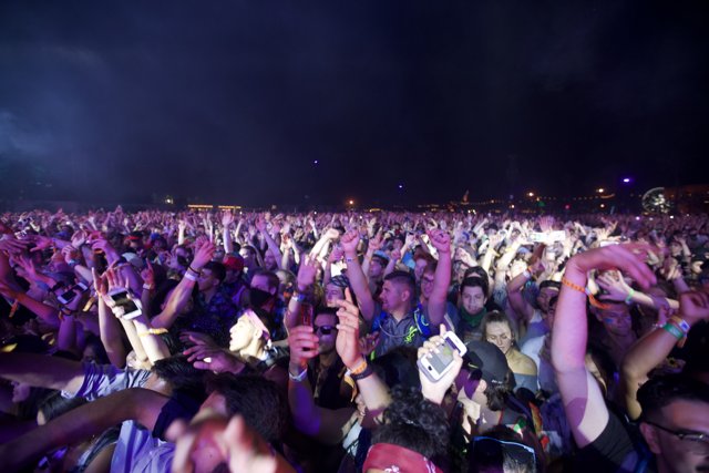 Glasses and Hands in the Air at Coachella