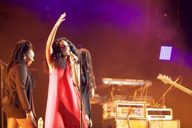 Solange Rocks the Stage at FYF Bullock 2015
