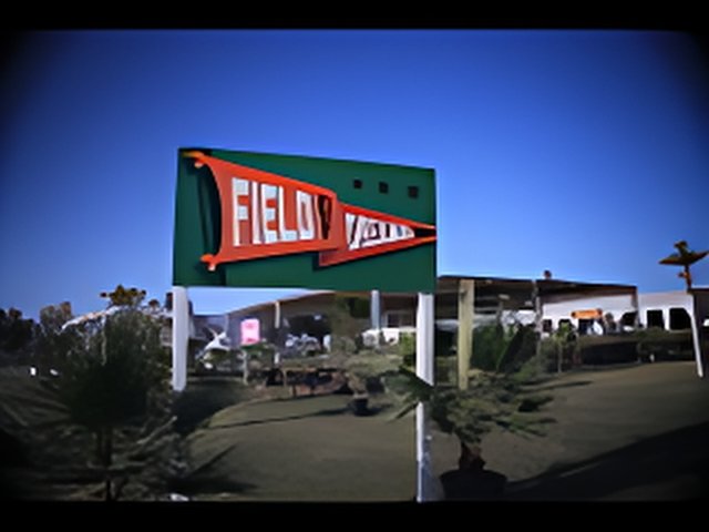 Field Motel Oasis