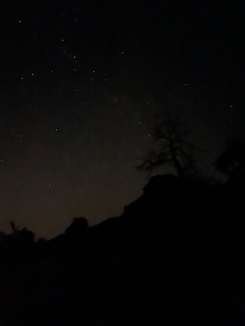 Starry Night in Sandia Park