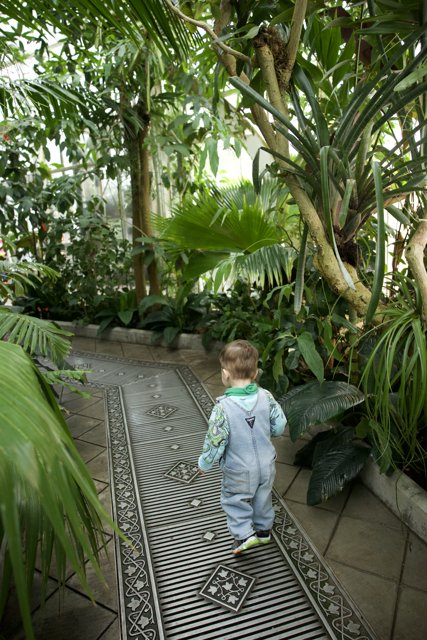 Exploring The Magic of Green: A Young Boy's Journey Through Golden Gate's Tropical Paradise