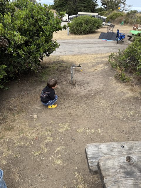Morning Moments in Cambria Park