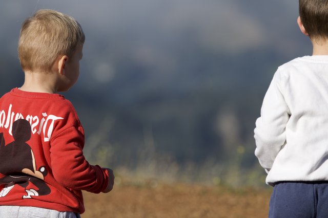 Two Young Boys Gazing Across Mount Diablo Valley