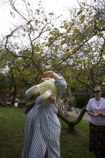 Celebrating Under the Trees