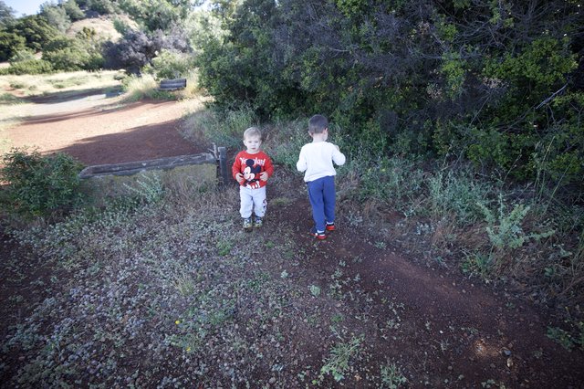 Two Young Boys Exploring a Dusty Trail Together