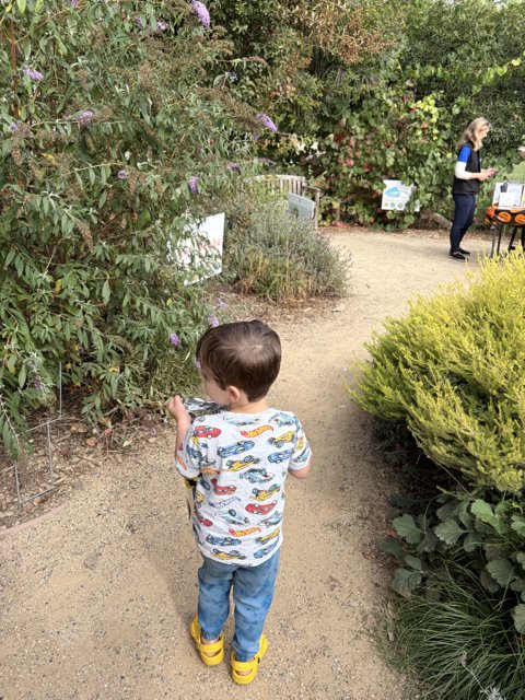 Nature's Little Explorer