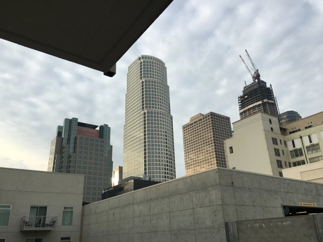 A Birds-Eye View of the Los Angeles Metropolis