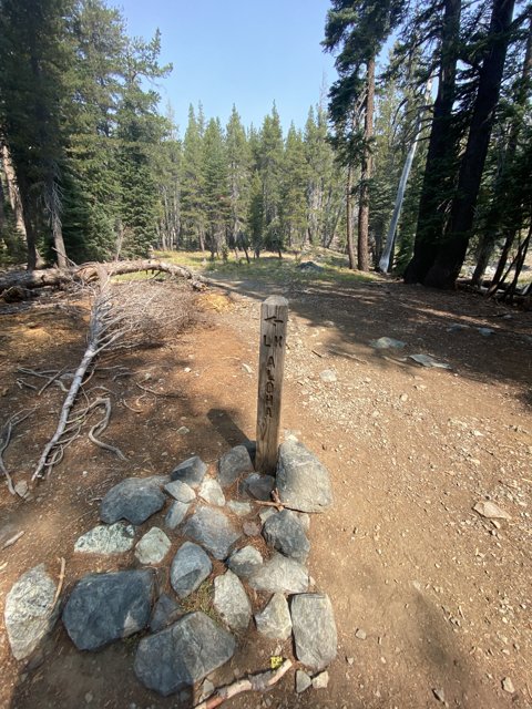 Trail Marker in the Heart of the Wilderness