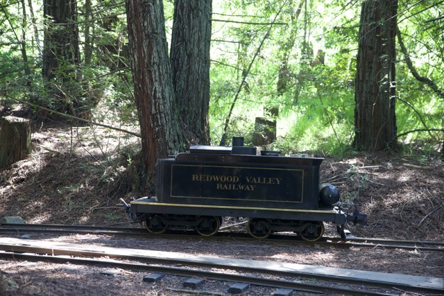 Journey Through the Greens: Redwood Valley Railway