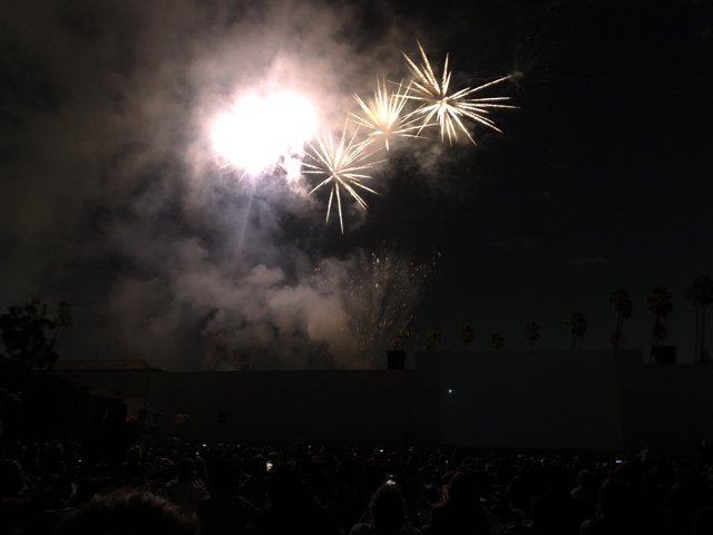 Spectacular Fireworks Display Over Enthusiastic Crowd