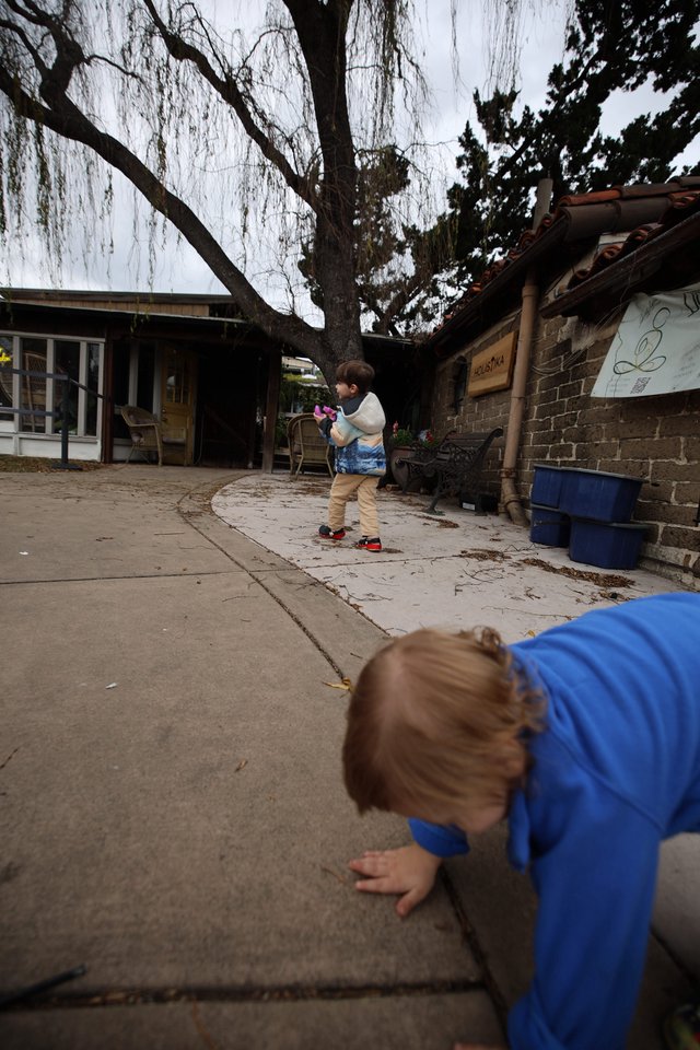 Children Playing in Courtyard Under Weeping Willow