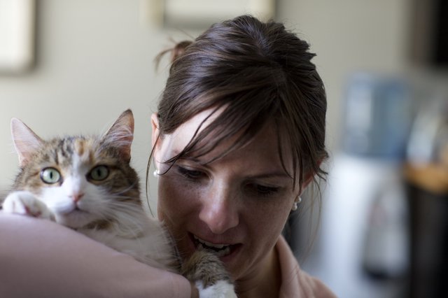Woman and Tabby Cat Share a Tender Moment