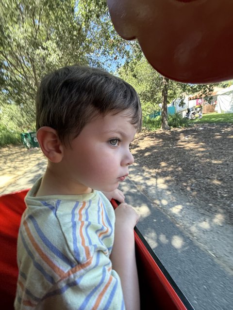 Daydreams in the Park