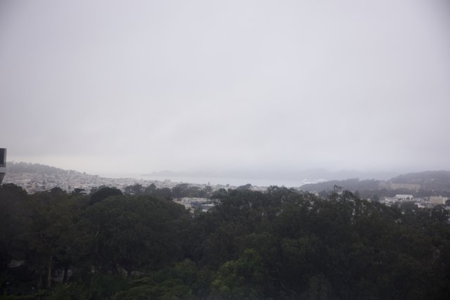 Cityscapes: The Skyline Through The Mist