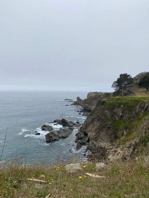Promontory View of the Majestic Pacific