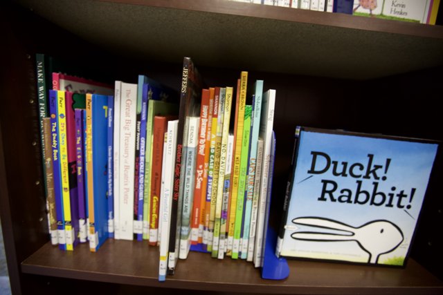 The Duck Rabbit Books on my Library Shelf