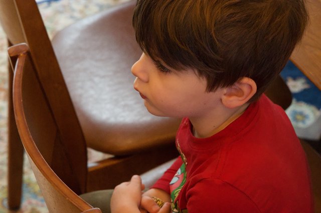 Young Boy in Red Shirt Sitting on Wooden Chair