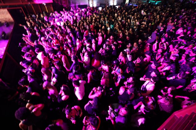 Massive Crowd Surges Under Purple Lights at Wobbleland