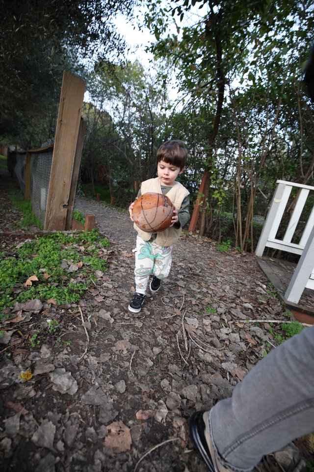 Young Child Playing with Basketball in Garden Path