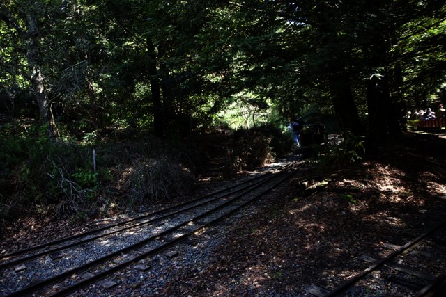 Enchanting Railway Through Tilden Park