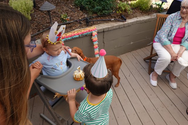 First Birthday Joy