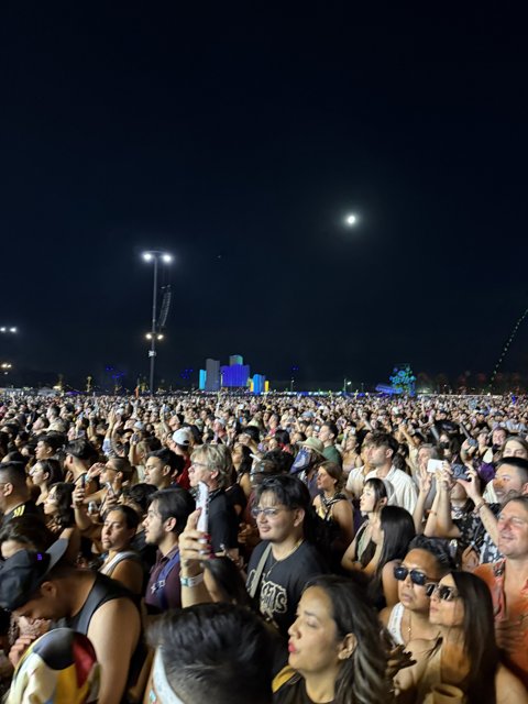 Under the Desert Moon