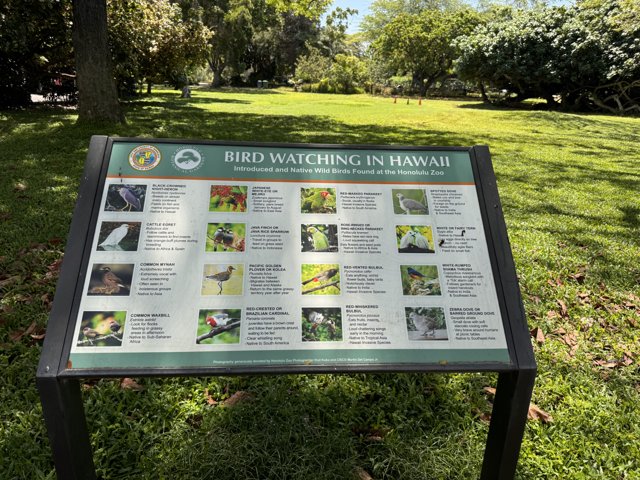 Educational Encounter at Honolulu Zoo