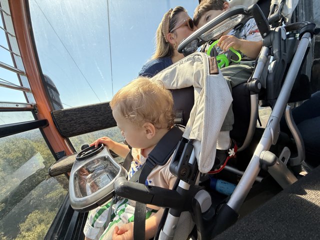 Family Adventure at Oakland Zoo