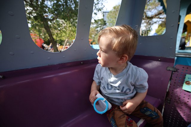 Toddler Gazing Through Playground Structure Window