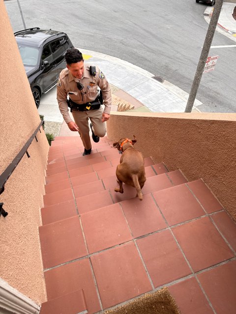 Guardian of the City: Man and His K9 Partner