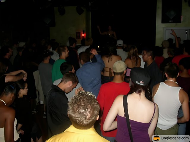 Nightclub Crowd Gets Groovy