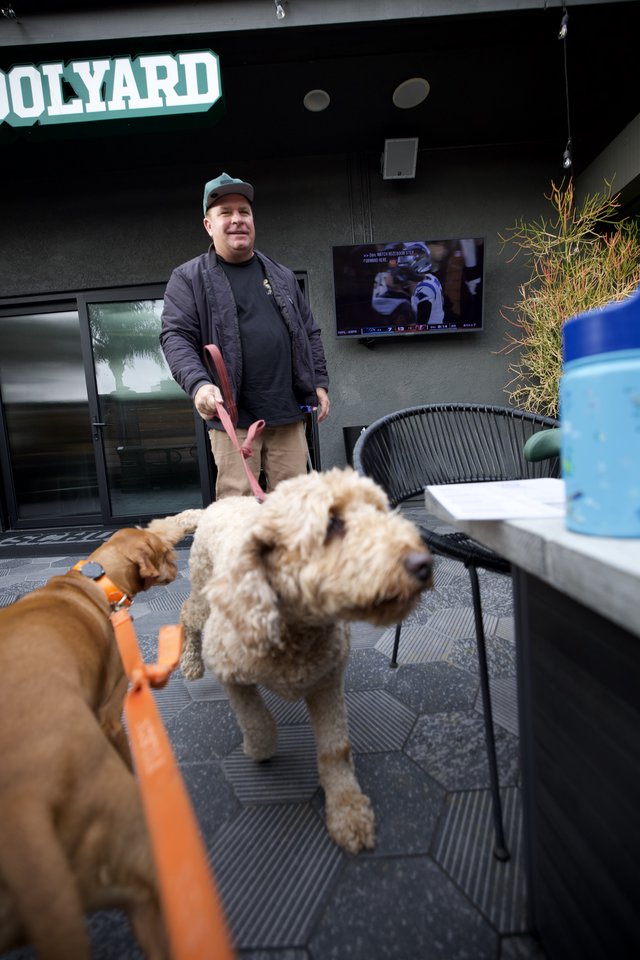 Dogs Meeting at Dog-Friendly Outdoor Patio