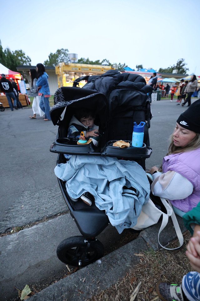 Tired Toddler in Stroller at Outdoor Festival