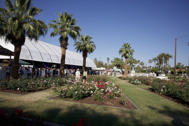 Blooming Festival Vibes: Coachella 2024 Weekend 2