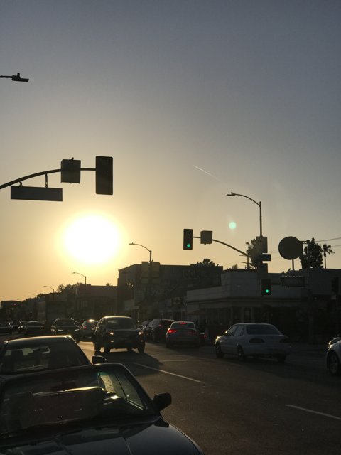 Rush Hour at Sunset
